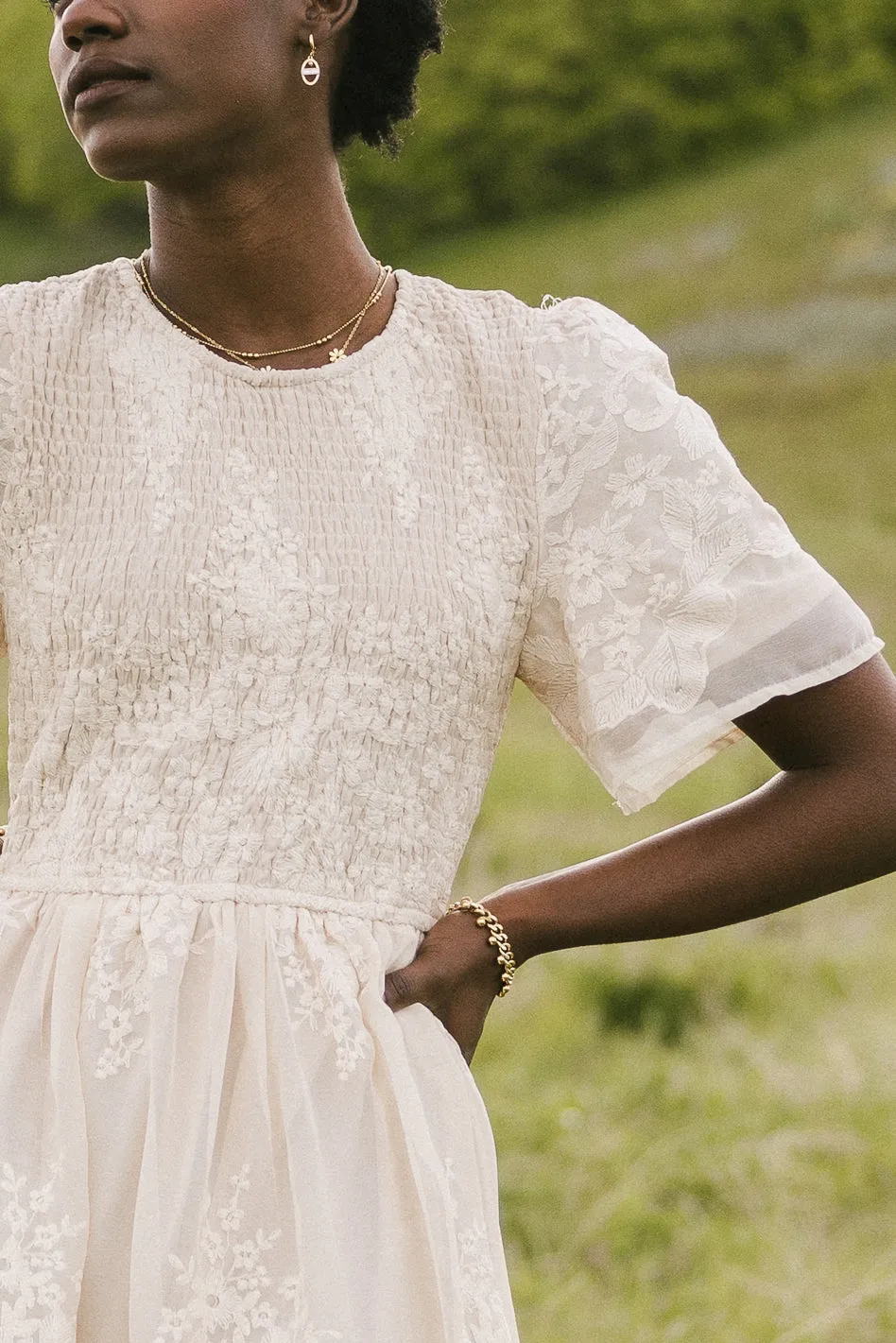 Alora Embroidered Dress in Champagne - FINAL SALE