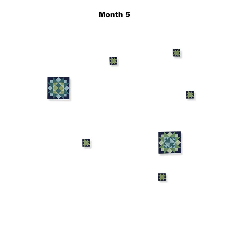Amish with a Twist V Block of the Month