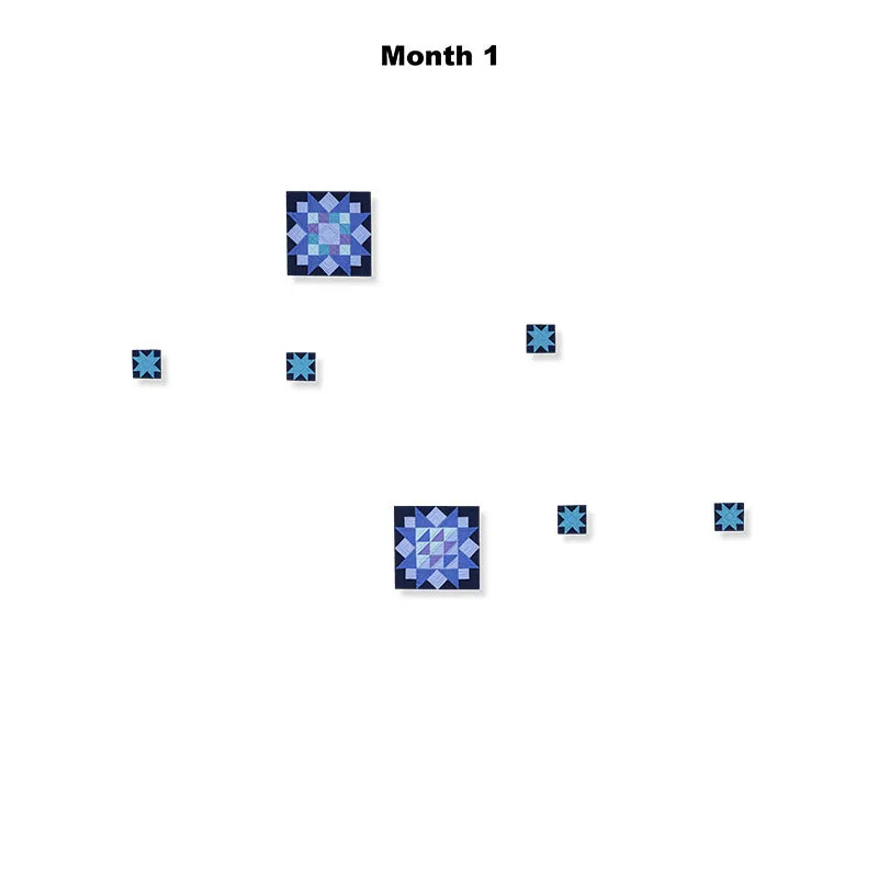 Amish with a Twist V Block of the Month