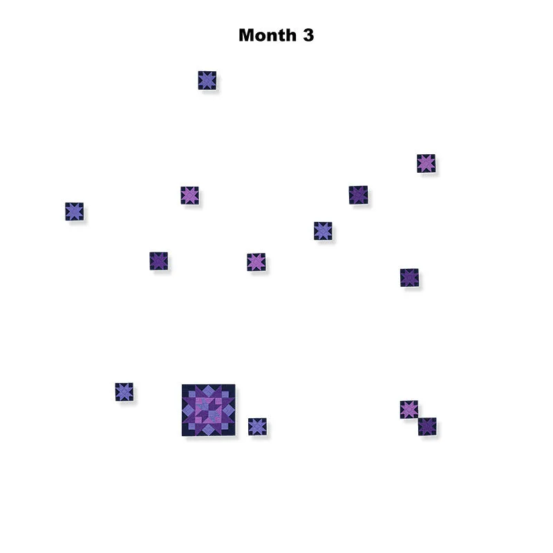 Amish with a Twist V Block of the Month