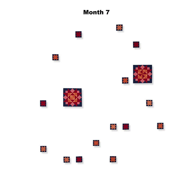 Amish with a Twist V Block of the Month