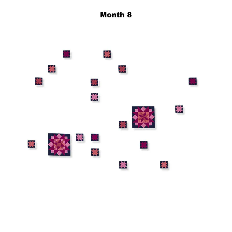 Amish with a Twist V Block of the Month
