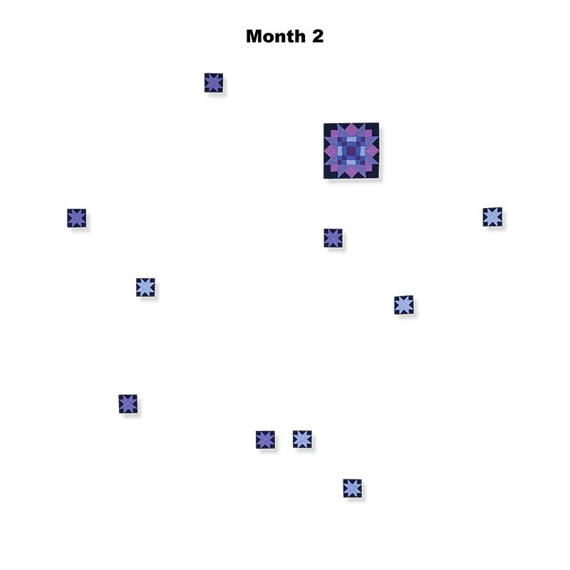 Amish with a Twist V Block of the Month