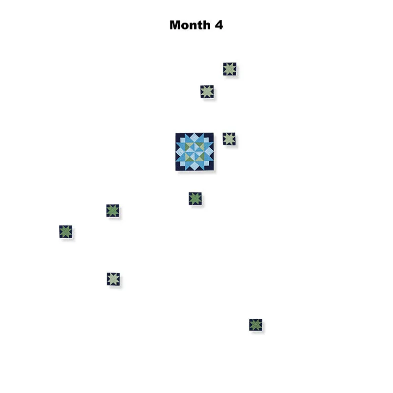 Amish with a Twist V Block of the Month