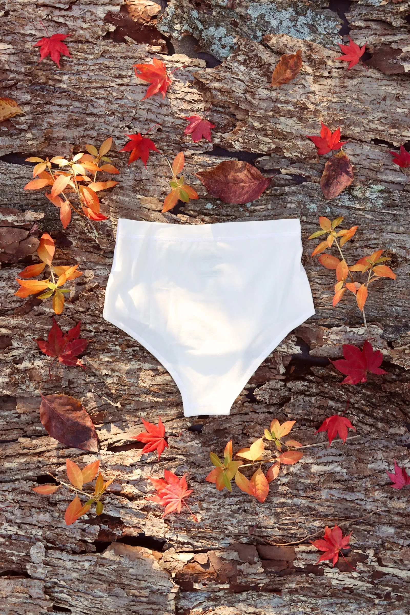Cosmic Mother Of All Cheeky Briefs