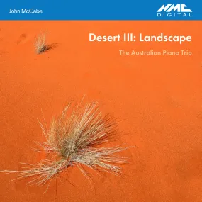 John McCabe: Desert III - Landscape