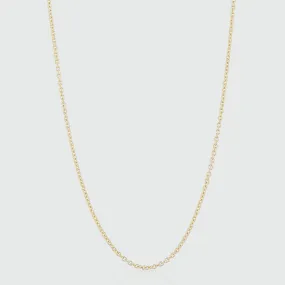 Paddington 9ct Yellow Gold Medium Trace Chain