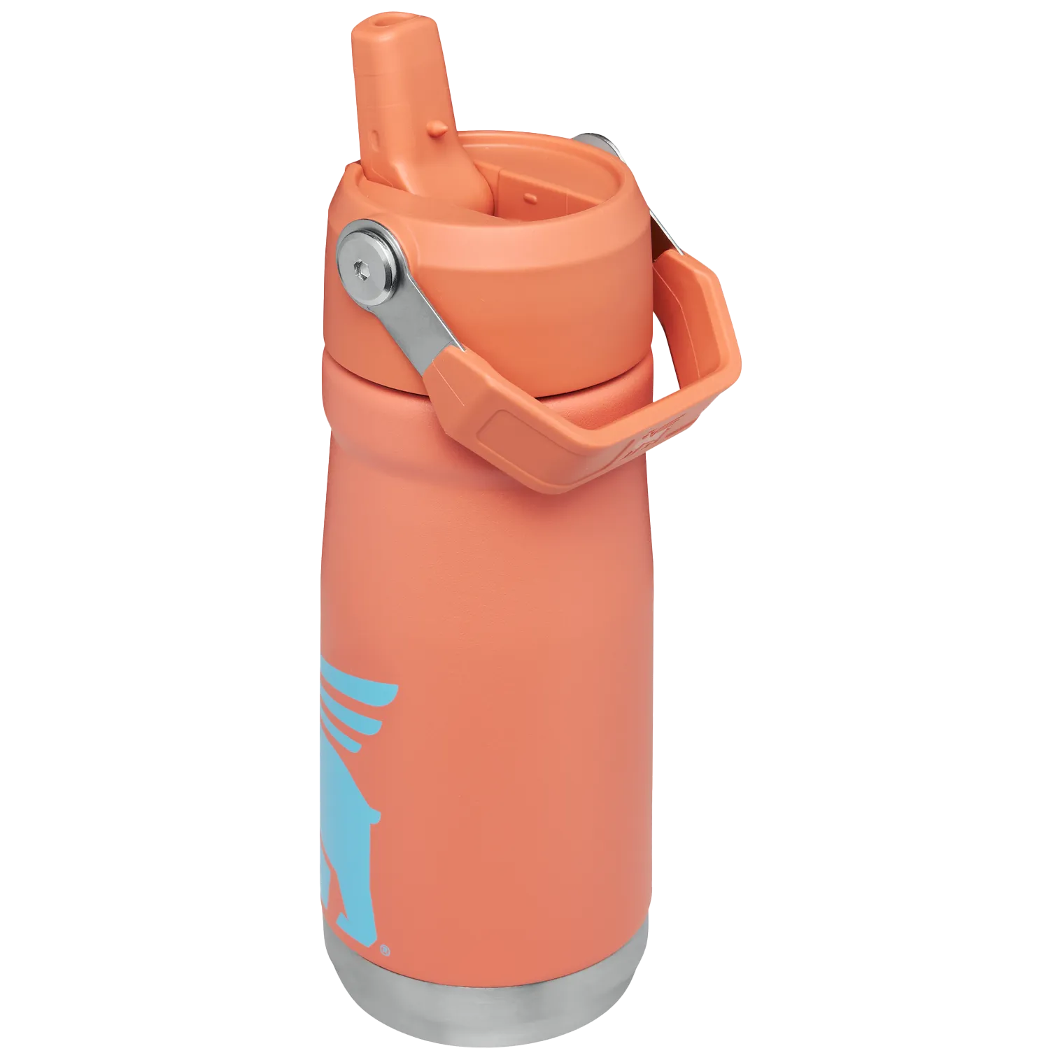 The Wild Imagination IceFlow™ Flip Straw Water Bottle | 17 OZ