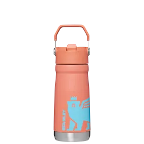 The Wild Imagination IceFlow™ Flip Straw Water Bottle | 17 OZ